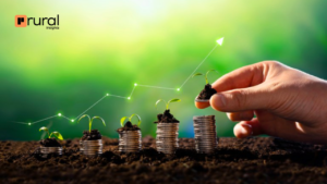 Crédito Rural: Impulsionando a Agricultura e o Desenvolvimento Econômico no Brasil