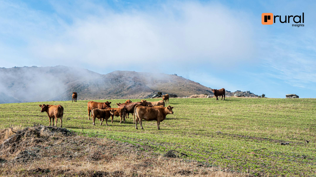 Big Data e Agricultura de Precisão