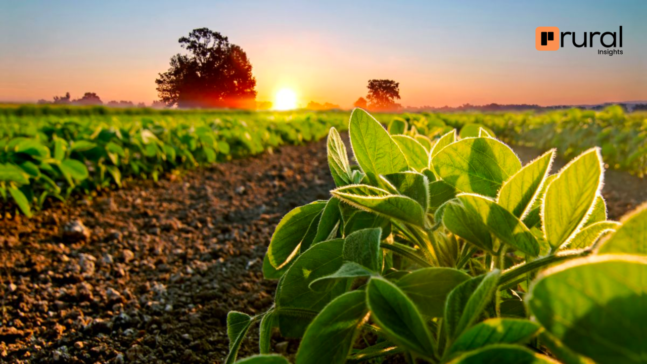 Fiagros e sua Importância no Agronegócio