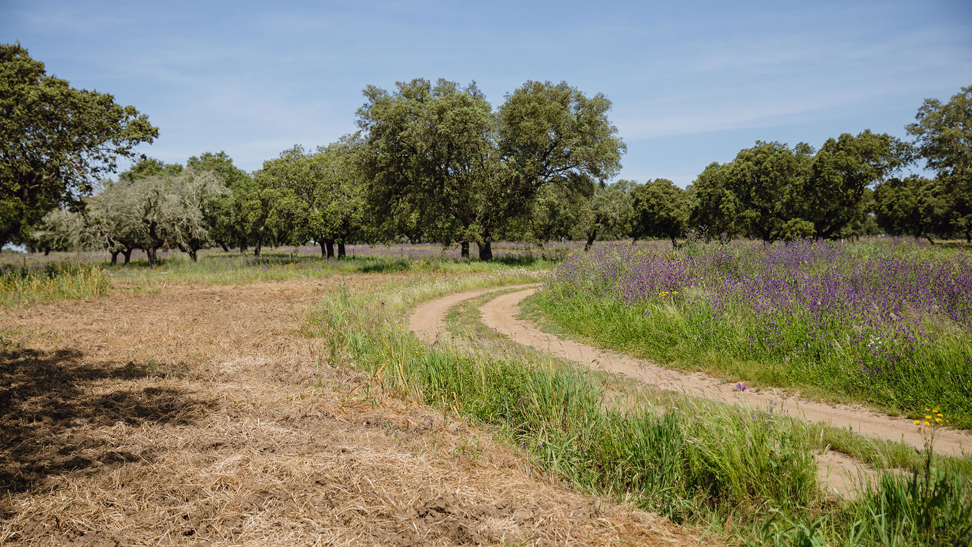 Fonte: Climate Farmers