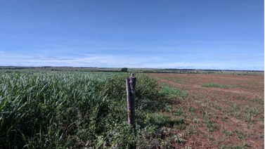 Divisão entre área do projeto da NaturAll e área não participante. Fonte AgFeed