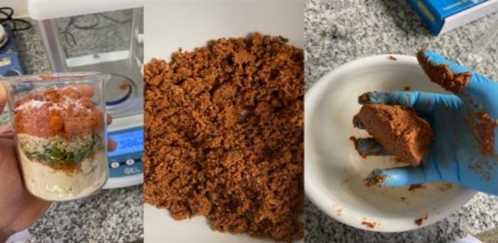 Substituto proteico resultante do processamento da farinha de girassol. Fonte: UNICAMP