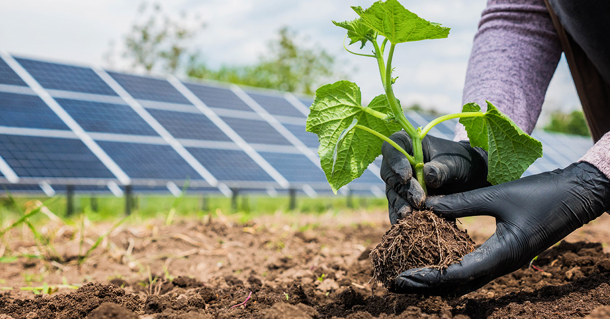 Energia solar no agronegócio. Fonte: Blog da Intelbras