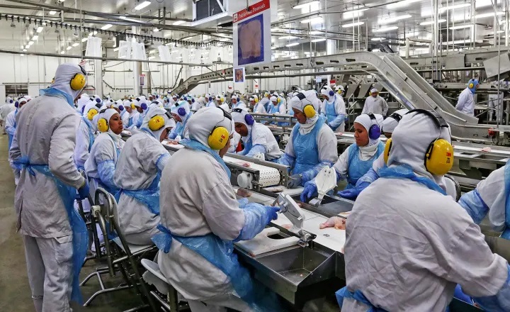 Linha de produção de carnes. Fonte: Agrimídia