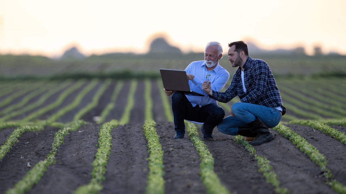 Representação das atividades de uma agtech. Fonte: Remessa Online