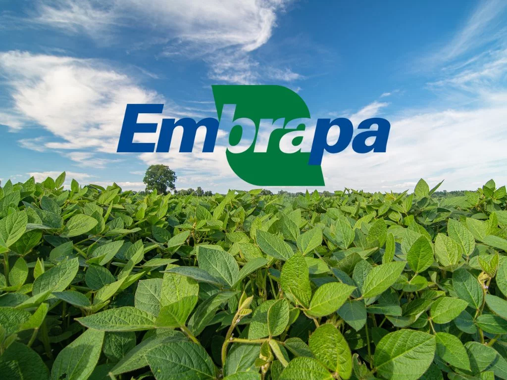 embrapa