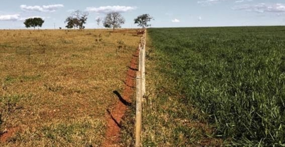 Recuperação de pasto degradado