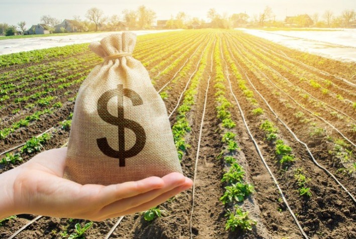 Representação artística de crédito rural. Fonte: Portal do Agronegócio