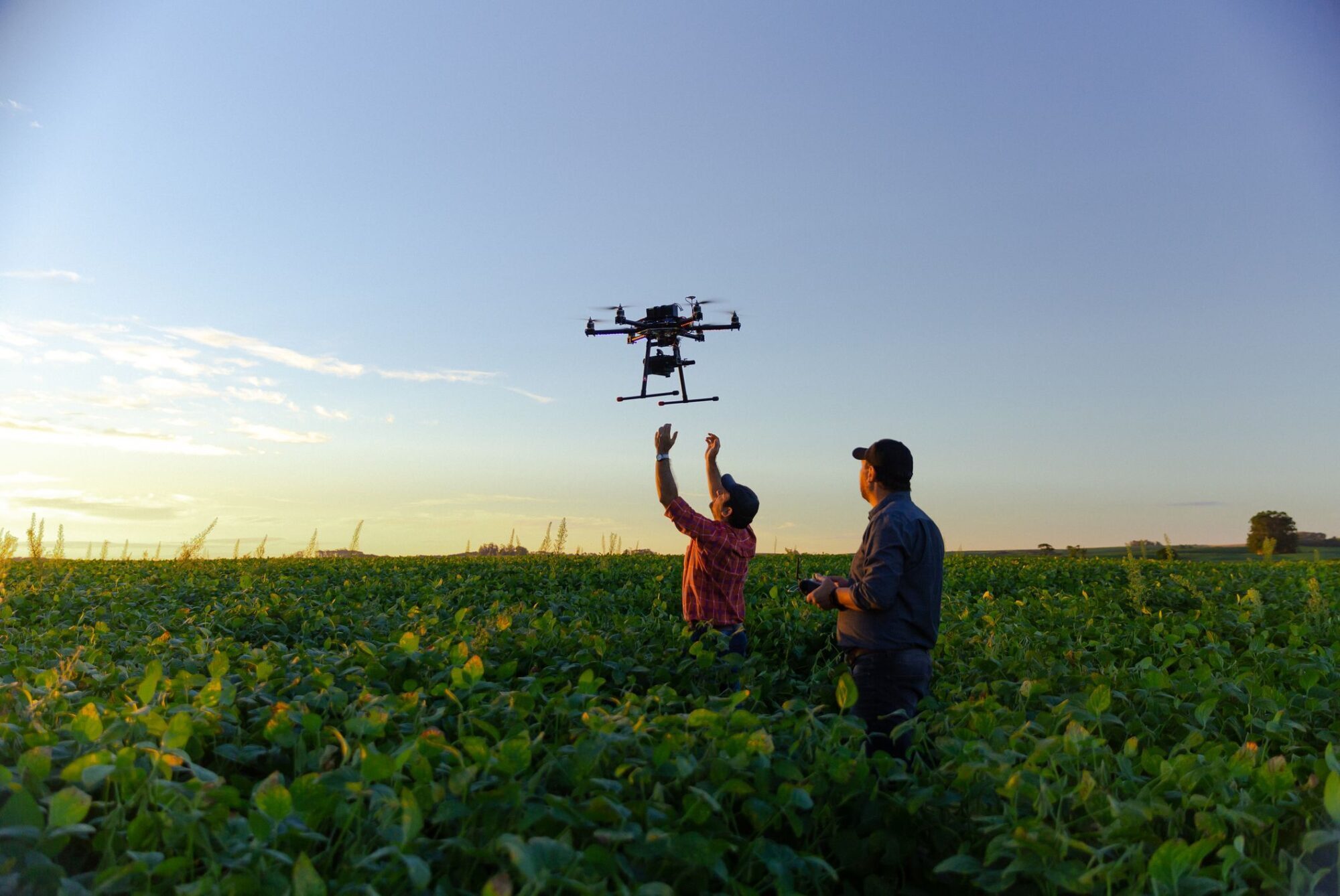 Do capital à porteira: Rural IAT nasce para medir como a inovação está transformando o campo