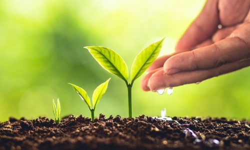 Financiamento para Adaptação Climática Salta 120%: Por que o Agro Brasileiro Está no Centro da Transformação Global