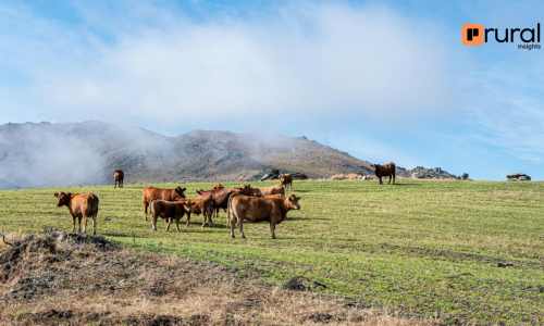 Big Data e Agricultura de Precisão