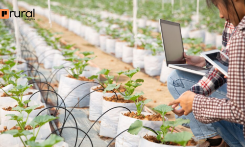 Queda de Investimentos em AgriFoodTechs. E agora? Conselhos de Investidores para Fundadores